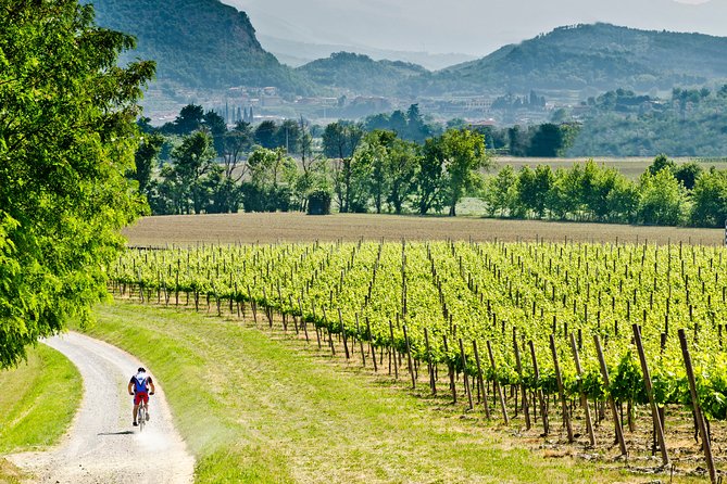 Bergamo and Franciacorta with lunch and cellar visit - From Milan at 9:00 to Bergamo: the ride that sets the tone