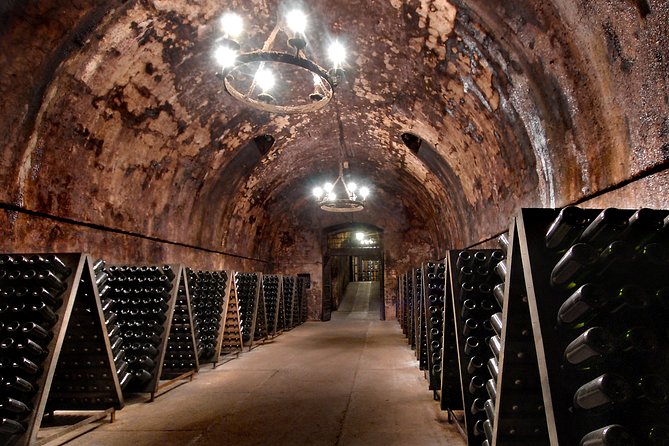 Bergamo and Franciacorta with lunch and cellar visit - Franciacorta winery visit: guided tour plus two DOCG wines