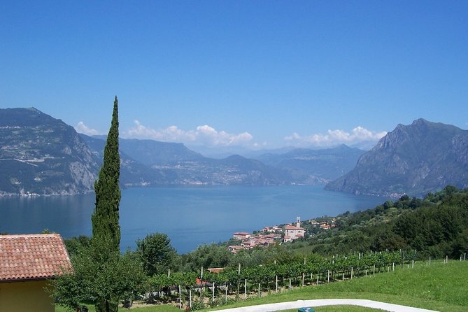 Bergamo and Franciacorta with lunch and cellar visit - Price and value: what $348.46 is buying you