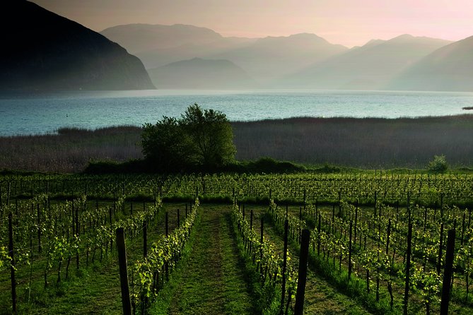 Bergamo and Franciacorta with lunch and cellar visit - Who should book this Bergamo and Franciacorta day trip