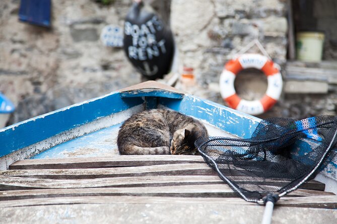 Cinque Terre Day Trip from Milan: Italian Riviera Escape - Getting Your Day’s Pace Right: Walking, Stairs, and Energy