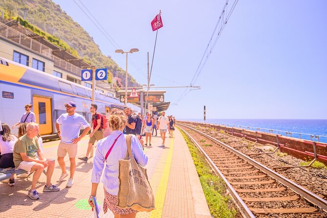 Cinque Terre Sea Park with Limoncino Tasting Day Trip from Milan - Manarola: the classic cliffside scene for photos and slow wandering