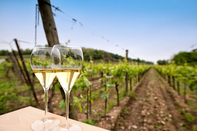 Franciacorta Wine Tasting Tour from Milan with Lake Iseo Cruise - Quick Highlights (What Makes This Tour Work)