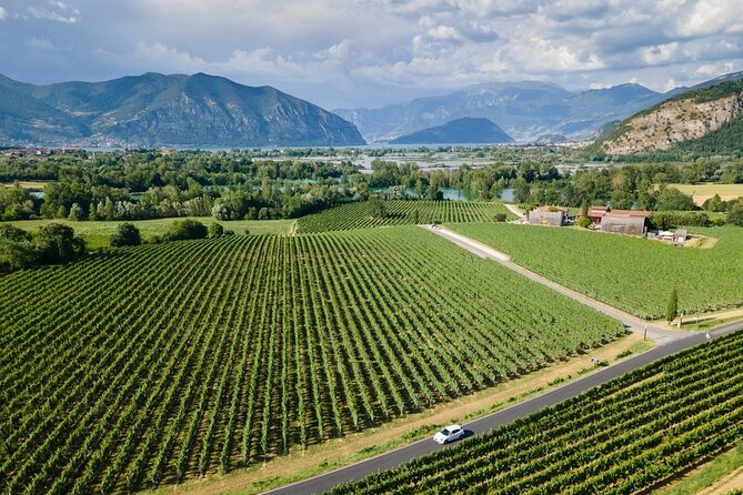 Franciacorta Wine Tasting Tour from Milan with Lake Iseo Cruise - Price and Value: What $118.53 Buys You