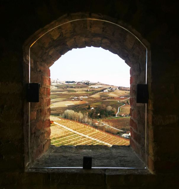 From Milan: Barolo Wine Tasting, Alba Tour and Castle Visit - Who should book this Barolo and Alba day trip