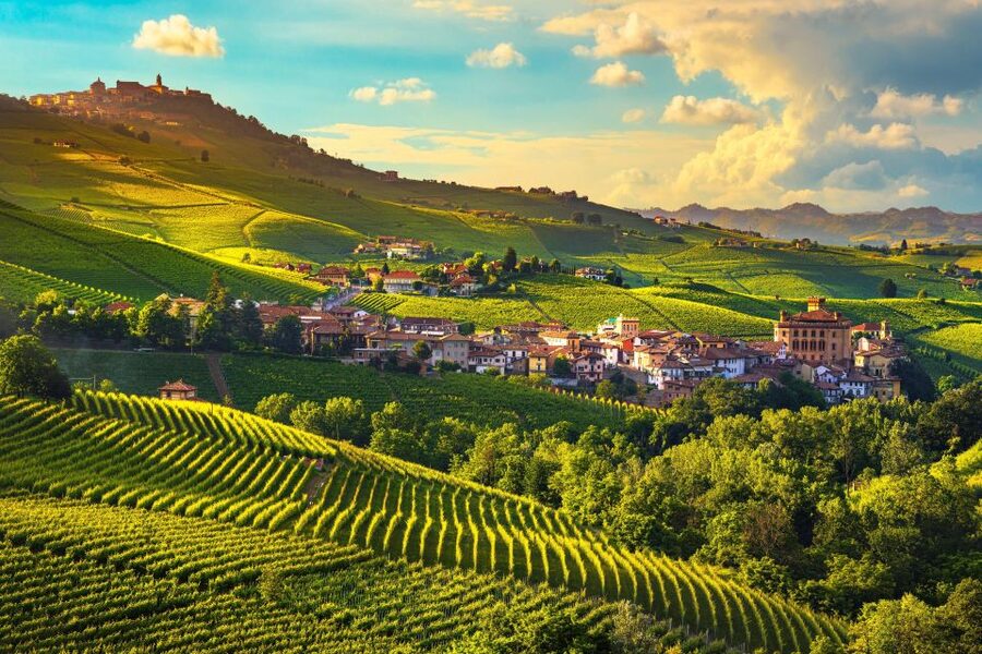 From Milan: Barolo Wine Tasting, Alba Tour and Castle Visit - From Milan to Langhe: a smooth reset day