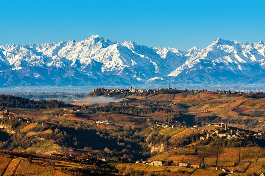 From Milan: Barolo Wine Tasting, Alba Tour and Castle Visit - The family winery tasting: Barolo, served with context