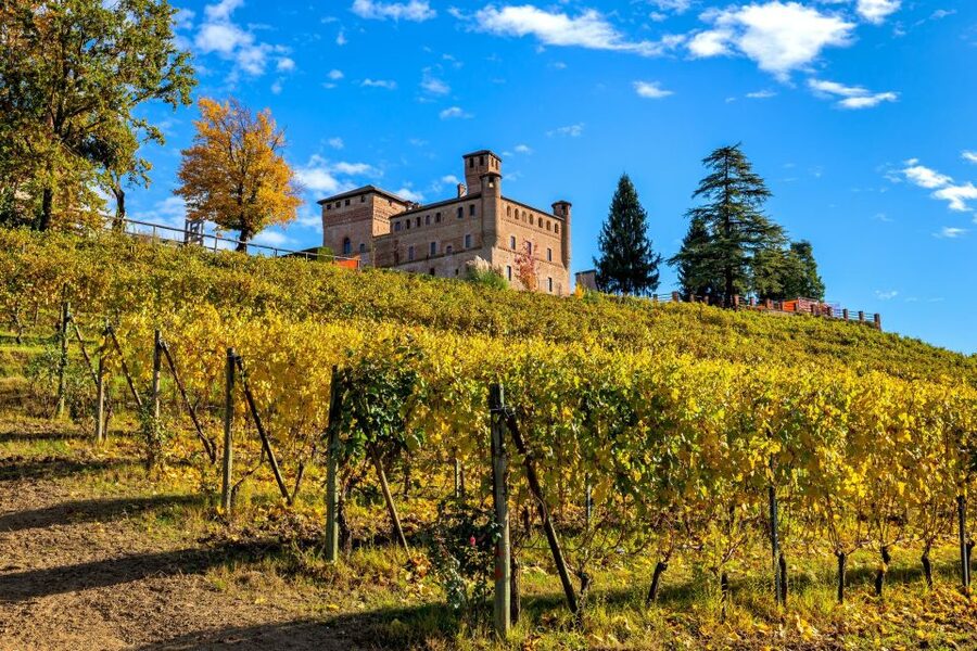 From Milan: Barolo Wine Tasting, Alba Tour and Castle Visit - Alba walking tour: medieval streets, truffle and chocolate energy