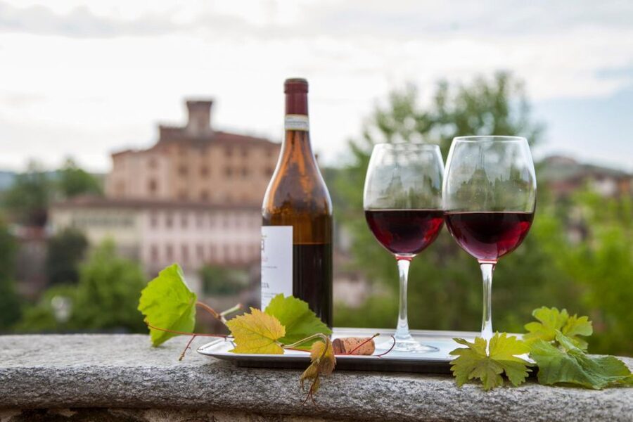 From Milan: Barolo Wine Tasting, Alba Tour and Castle Visit - Price and value check: what you get for about $225