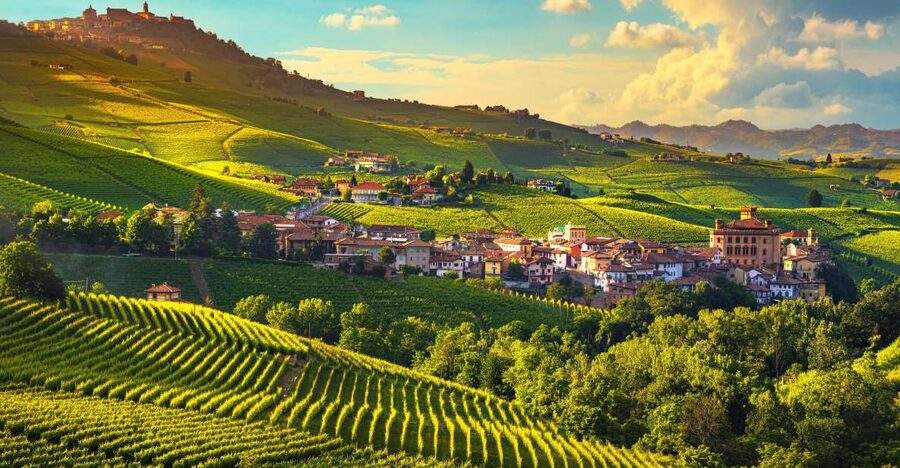 From Milan: Barolo Wine Tasting, Alba Tour and Castle Visit - Where you’ll meet and how pickup affects your timing