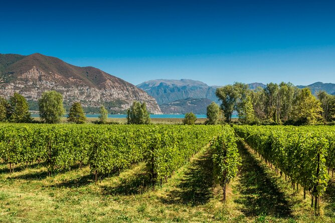 From Milan Full Day in Franciacorta 2 Wineries and Lunch - Key highlights at a glance