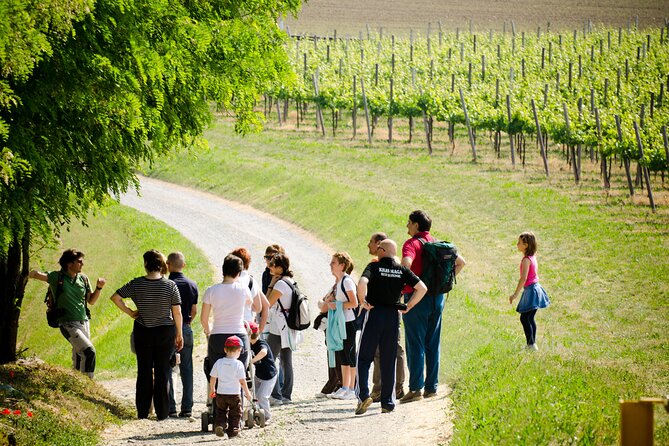From Milan Full Day in Franciacorta 2 Wineries and Lunch - Who should book this Franciacorta day and who should skip