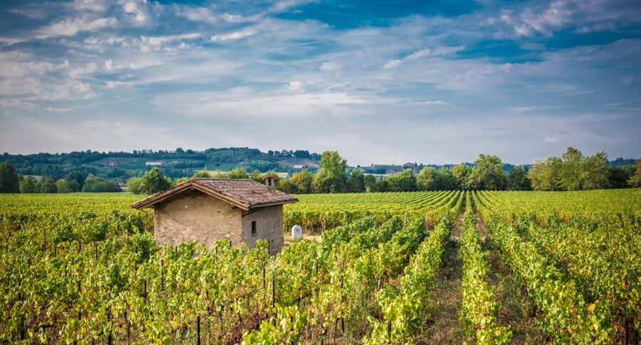 From Milan: Full Day in Franciacorta. 2 Wineries & Lunch - Why Franciacorta Tastes Like It Has a Point