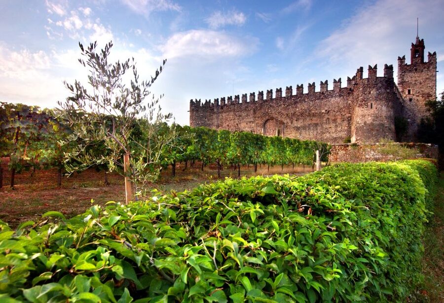 From Milan: Full Day in Franciacorta. 2 Wineries & Lunch - What You’ll Actually Learn (So Tasting Feels Less Like Luck)