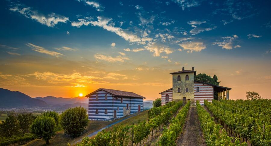 From Milan: Full Day in Franciacorta. 2 Wineries & Lunch - Stop 1 at Ronco Calino: Terroir, Cellars, and First Tastings