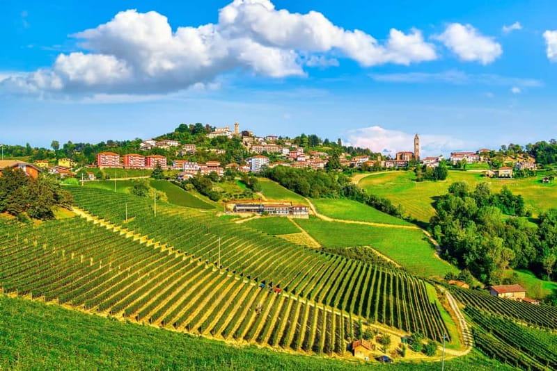 From Milan: Langhe Wine Region Day Trip with Barolo Tasting - Why the Langhe works so well as a Milan day trip