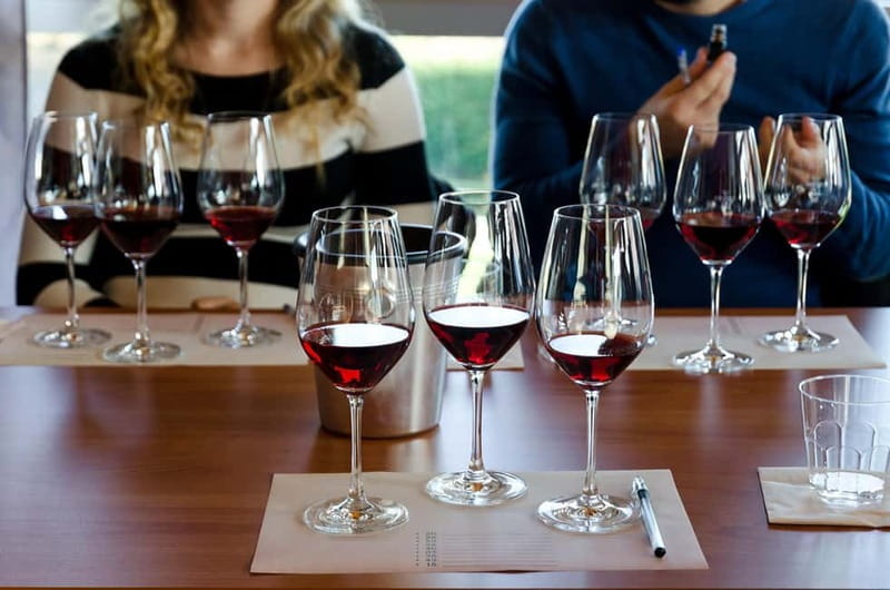 From Milan: Langhe Wine Region Day Trip with Barolo Tasting - The Grinzane Cavour Castle stop: views plus context