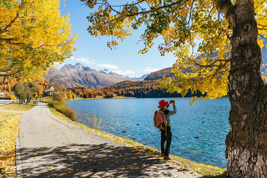 From Milan: St. Moritz and Panoramic Bernina Express Tour - Boarding the Bernina Express: what second class and panoramic means in real life