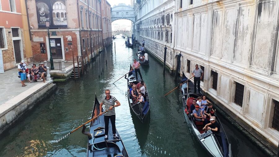 From Milan: Venice City Highlights Guided Day Trip - Key highlights in plain terms