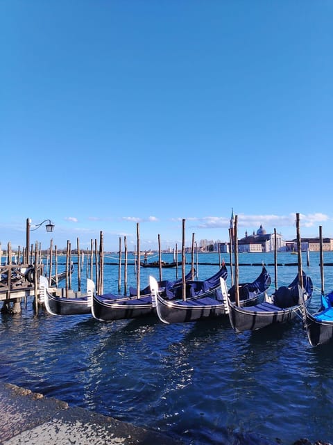 From Milan: Venice City Highlights Guided Day Trip - San Marco Square and St Mark’s area: the best place to start