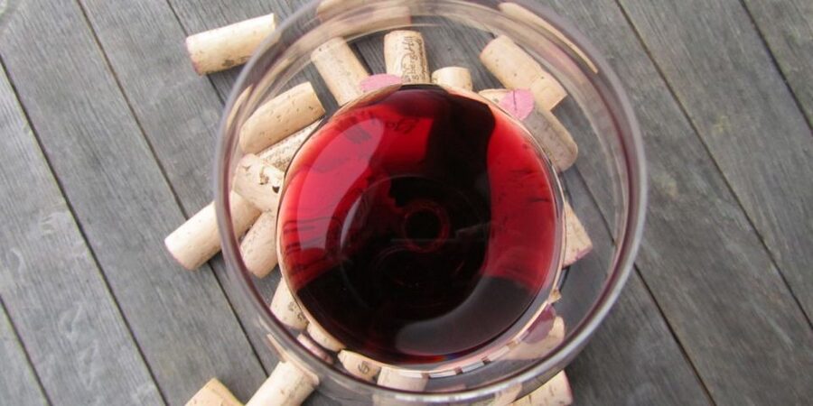 Full-Day Barbaresco Wine Tour with Truffle Hunting and Lunch - From Turin to the Langhe: why the private Mercedes ride helps