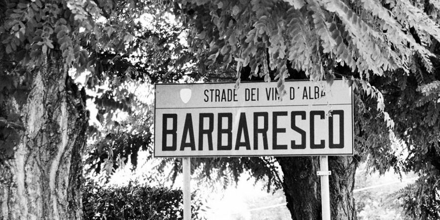 Full-Day Barbaresco Wine Tour with Truffle Hunting and Lunch - Truffle hunting near Alba: dogs, experts, and what truffles actually need