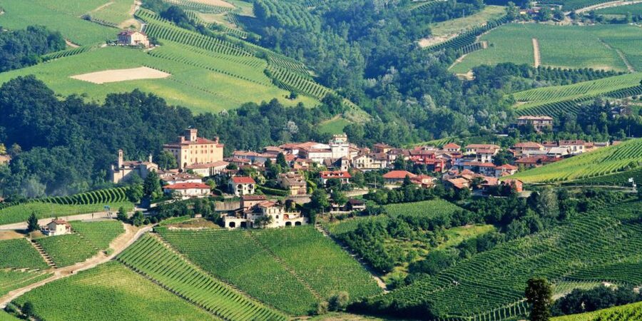Full-Day Barbaresco Wine Tour with Truffle Hunting and Lunch - Should you book this private truffle and Barbaresco tour?