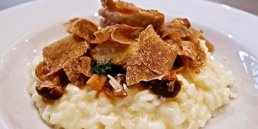 Full-Day Barbaresco Wine Tour with Truffle Hunting and Lunch - FAQ