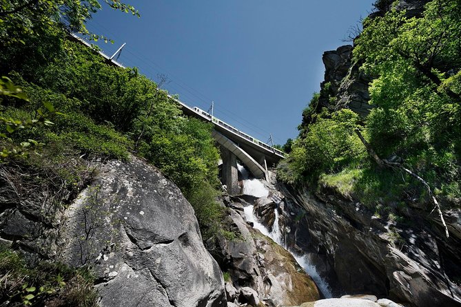 Interlaken and the Green Train of Swiss Alps Day Trip from Milan - Who this tour suits best (and who should skip it)