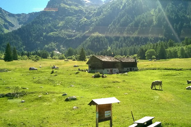 Lake Como, Swiss Alps and Bernina Train From Milan - Where the Memories Come From: Uninterrupted Alpine Views