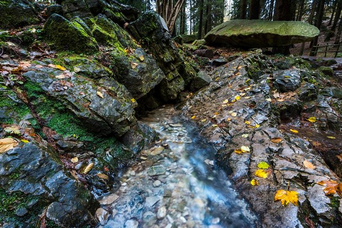 Lake Como trekking private guided tour, from Milan - Timing Reality Check: 5 Hours of Moving, Plus the Full Day