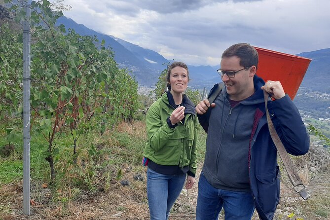 Lake Como & UNESCO Dry-stone Walls Vineyards - Small-group touring with LucafromItaly: what guides do differently