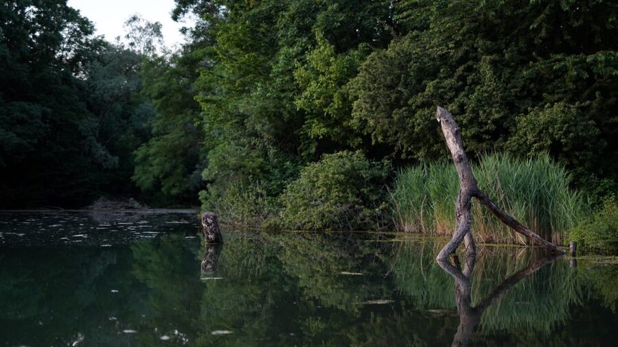 Milan: Bike Tour with Picnic on the turtle lake - Parco Aldo Aniasi: the short finish with a big-sky payoff