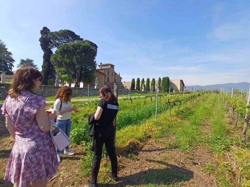 Milan: Brescia & Franciacorta with Wine Tasting Small Group - A Two-City Day Trip: Why It Works From Milan