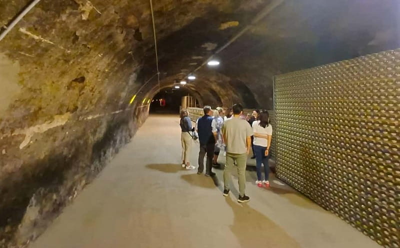 Milan: Brescia & Franciacorta with Wine Tasting Small Group - Coach Time Between Cities: When the Day Shifts to Vineyards