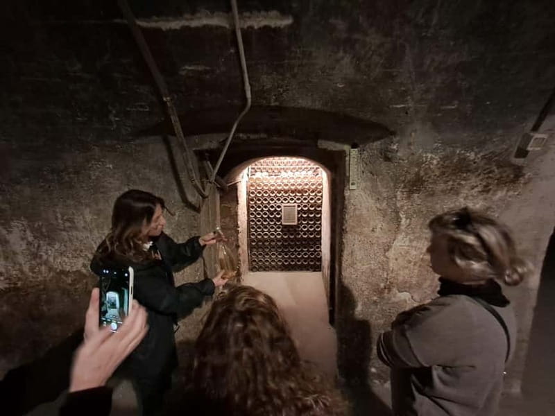 Milan: Brescia & Franciacorta with Wine Tasting Small Group - Comfort, Footwear, and Rain-Ready Planning