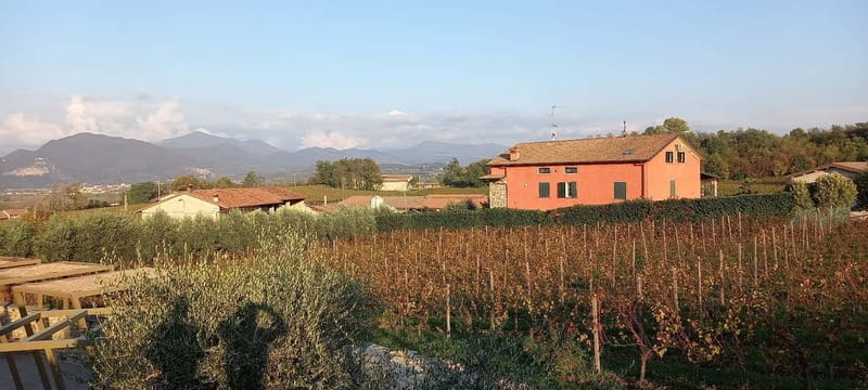 Milan: Brescia & Franciacorta with Wine Tasting Small Group - Who This Tour Fits Best (And Who Should Skip It)