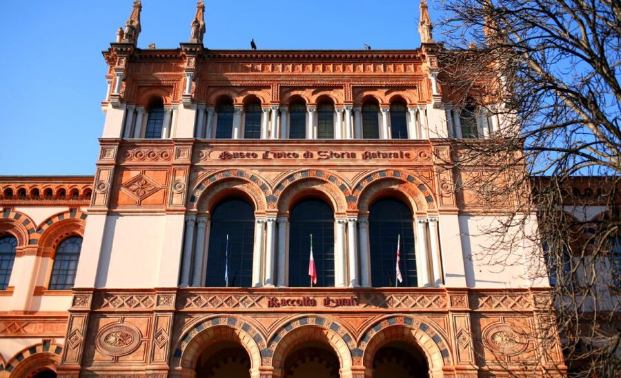 Milan: Natural History Museum Entry Ticket & Audio Guide - Logistics that can make or break your experience