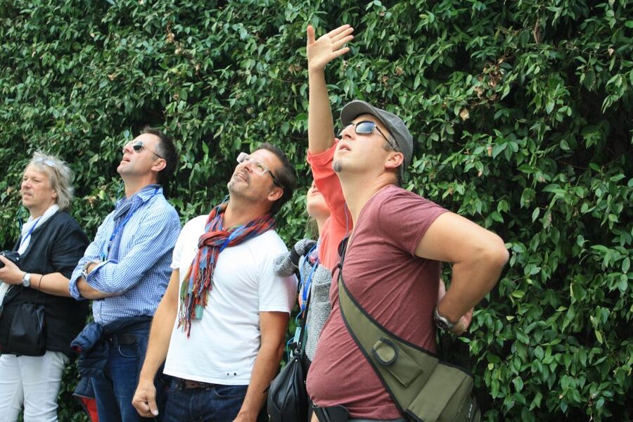 Milan: Piazza Gae Aulenti and Pelli Tower Walking Tour - Price and value: is $120.08 for 90 minutes worth it?