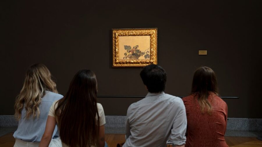 Milan: Pinacoteca Ambrosiana and San Sepolcro Crypt Ticket - Pinacoteca Ambrosiana: Art Museum Energy, Library-Minded Pace