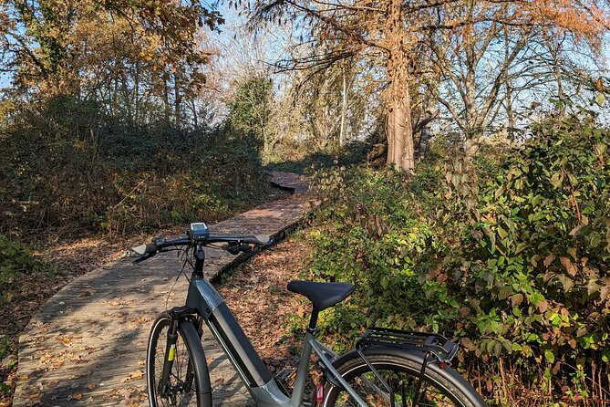 Milano e l'acqua. Tour dei parchi milanesi - Who this Milan e-bike parks-and-canals tour is best for