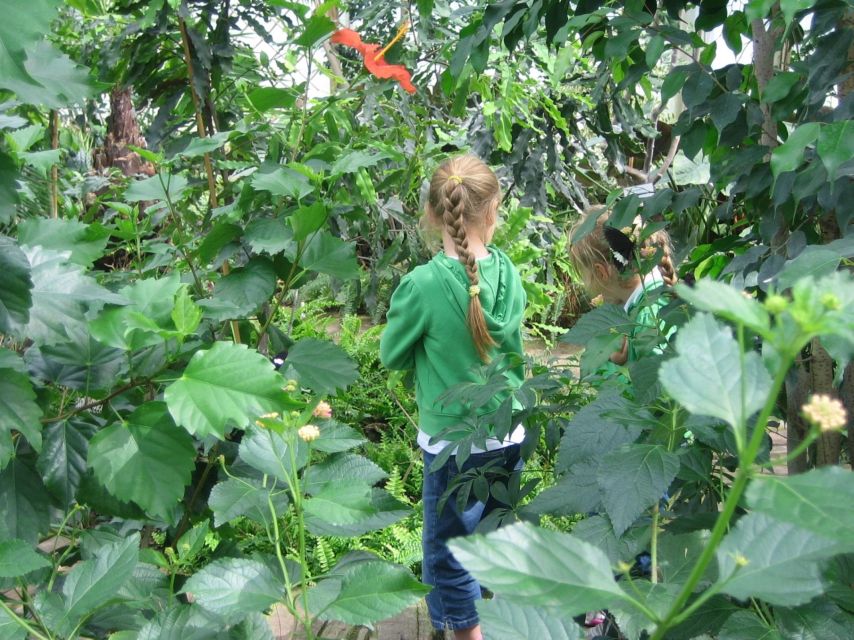 Milano Marittima: Casa delle Farfalle Entry Ticket - Step 5: the majestic butterfly greenhouse and your close-up moment