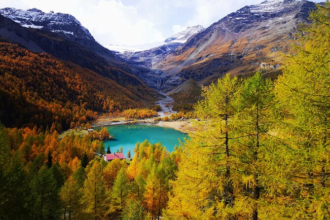 Private 1st Class Bernina Panoramic – St. Moritz & Swiss Alps - Price and value: why $950+ can still make sense for a day trip