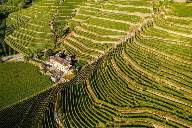 Private Lake Como Experience with Luca - Optional Wine and Cheese Upgrades: How to Choose Without Overspending