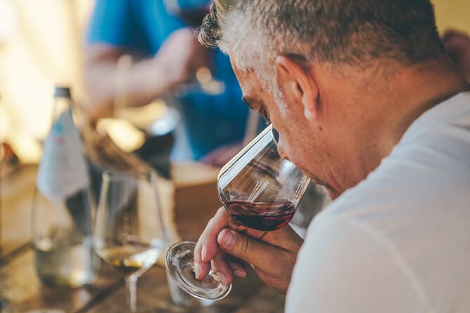 Private Langhe and Barolo Wine Tour from Milan - Key Highlights Worth Booking For