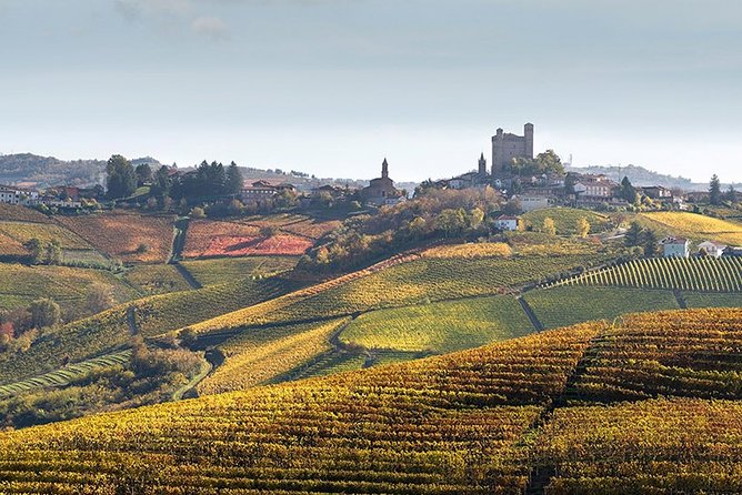 Private Langhe and Barolo Wine Tour from Milan - Views, Timing, and the Lunch Question