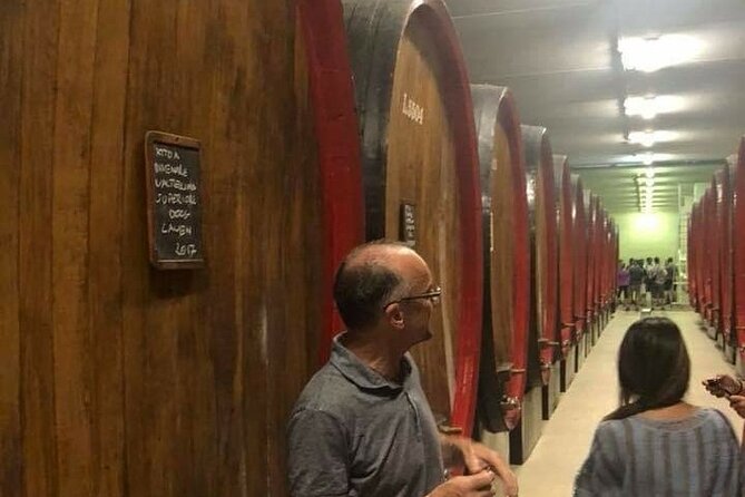 Private Wine Tour: Terraced Vineyards with Alpine view from Milan - Milan to the Alps: why this wine trip feels different