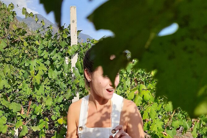 Private Wine Tour: Terraced Vineyards with Alpine view from Milan - Lake Como first: getting the scenery without the crowds