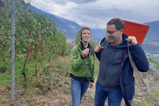Private Wine Tour: Terraced Vineyards with Alpine view from Milan - Morbegno and underground natural cellars: a quick local detour