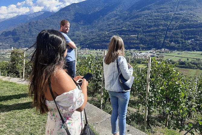 Private Wine Tour: Terraced Vineyards with Alpine view from Milan - Driving the Strada del Vino in Valtellina Valley